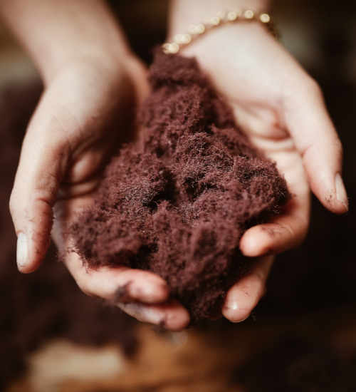 Phytomer bærekraftig hudpleie