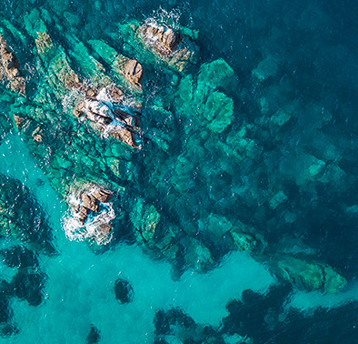 Phytomer marine produkter